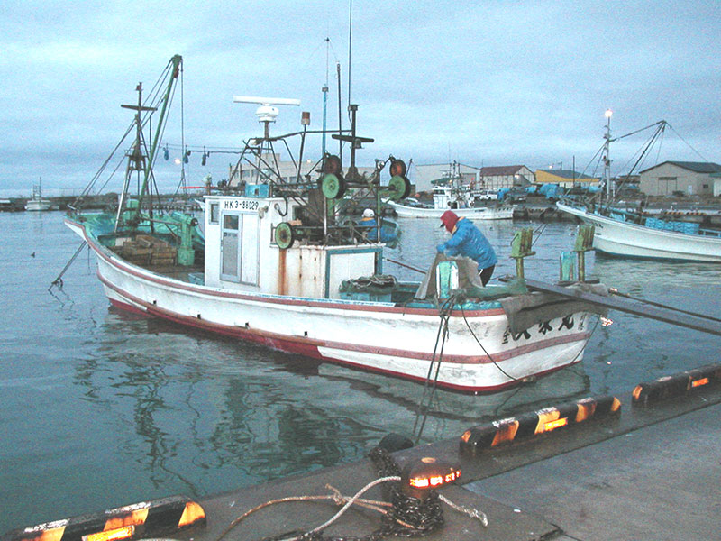 日の出とともに一斉に鵡川漁港を出港。全速力で漁場に向かう